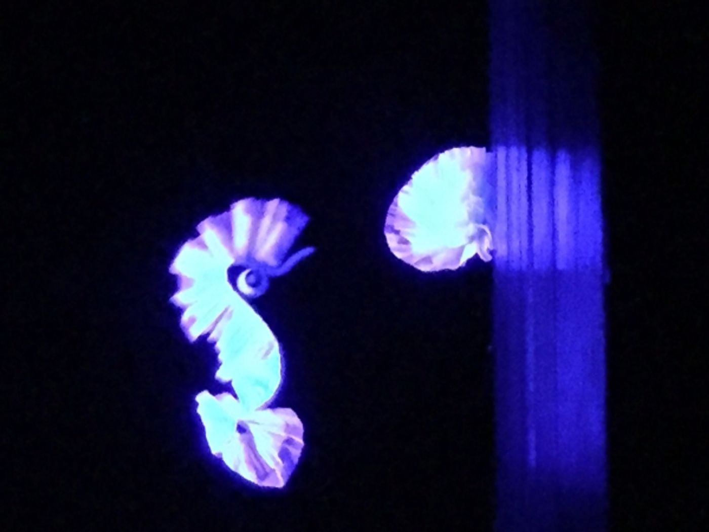 Photo Flash: Sneak Peek at MUMMENSCHANZ, Returning to New York City Tonight Photo Flash: Sneak Peek at MUMMENSCHANZ, Returning to New York City Tonight Image