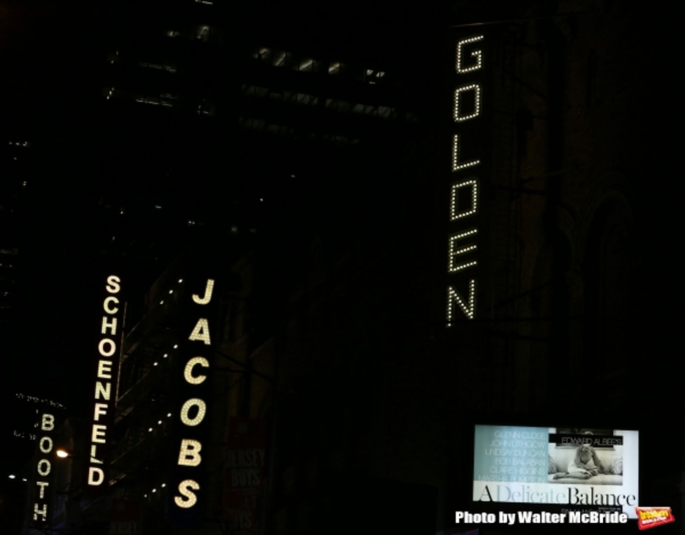 Photo Coverage: A DELICATE BALANCE Pays Tribute to Mike Nichols at Opening Night Curtain Call Image