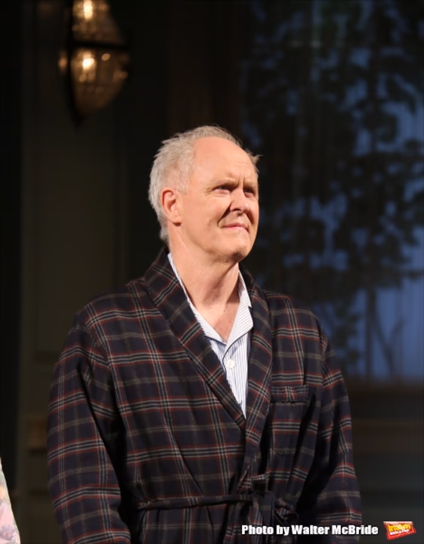 Photo Coverage: A DELICATE BALANCE Pays Tribute to Mike Nichols at Opening Night Curtain Call Image