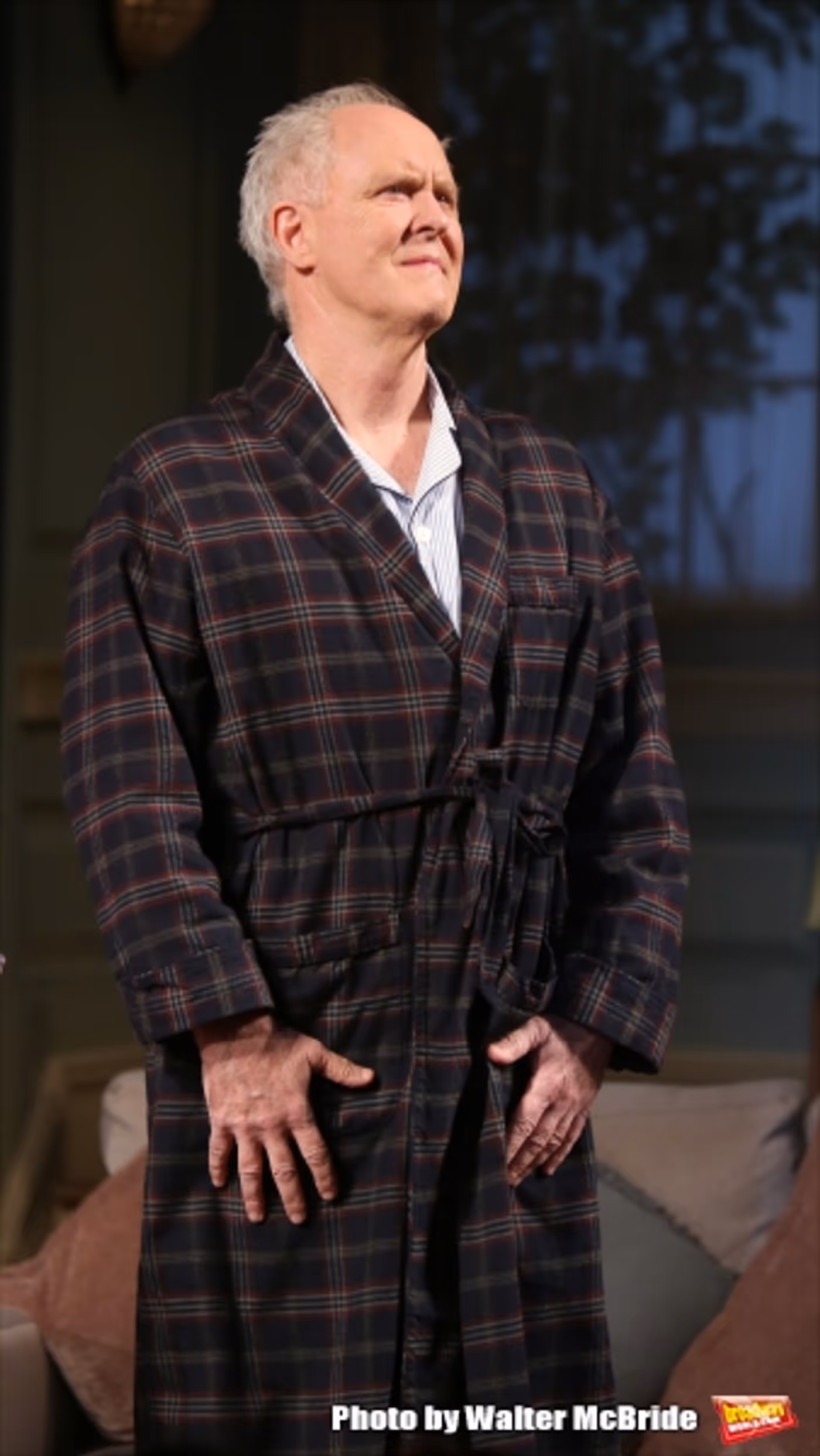 Photo Coverage: A DELICATE BALANCE Pays Tribute to Mike Nichols at Opening Night Curtain Call Image