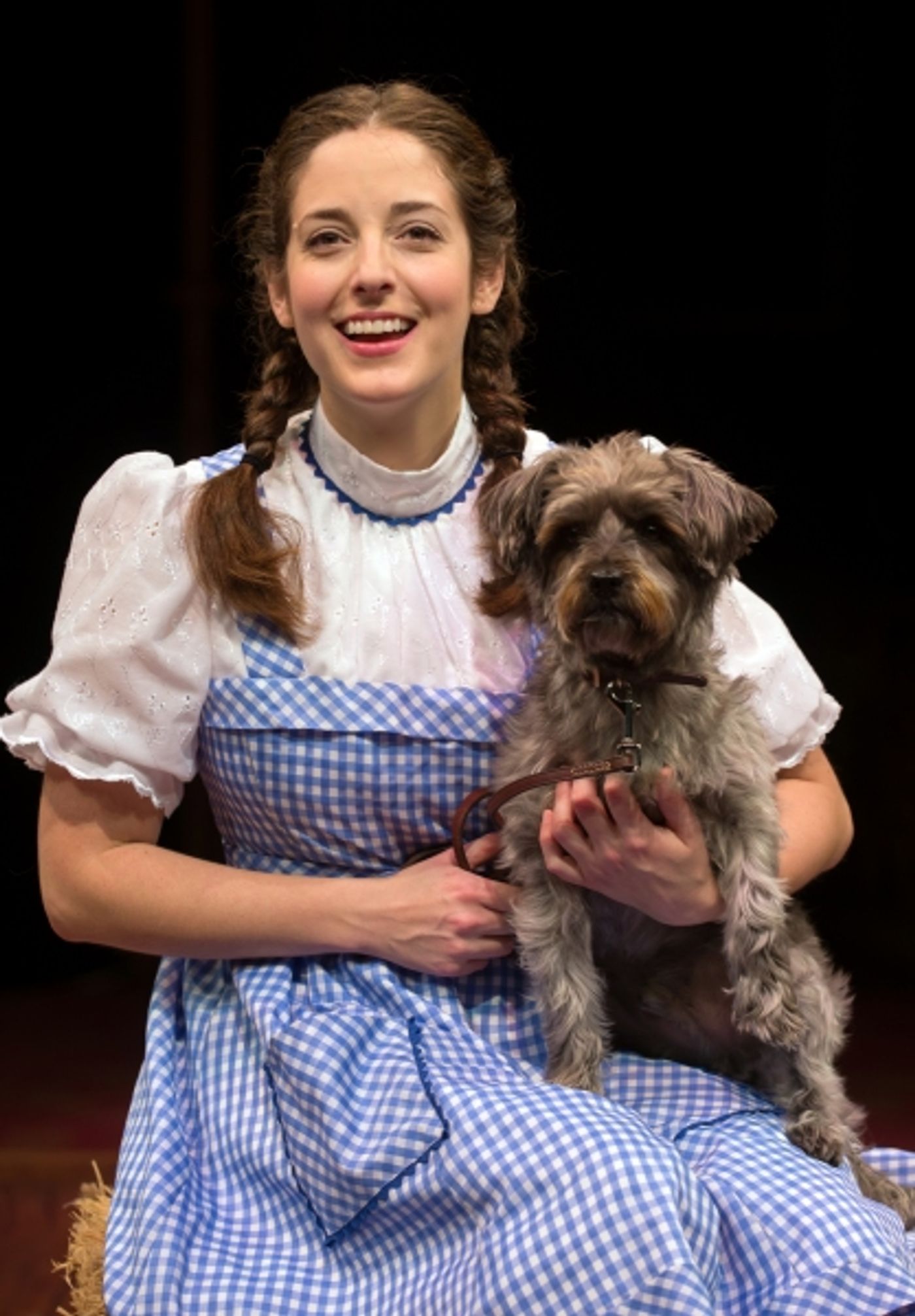 Photo Flash: First Look at THE WIZARD OF OZ at Marriott Theatre  Image