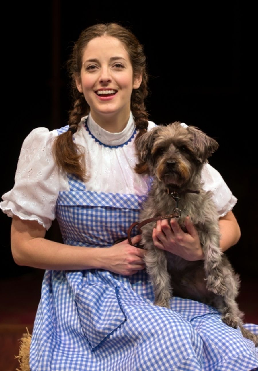 Photo Flash: First Look at THE WIZARD OF OZ at Marriott Theatre Image