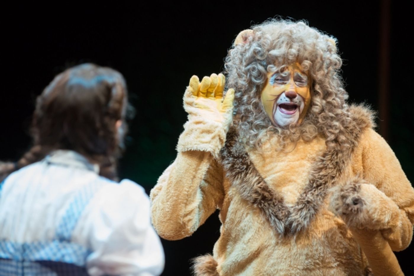 Photo Flash: First Look at THE WIZARD OF OZ at Marriott Theatre  Image