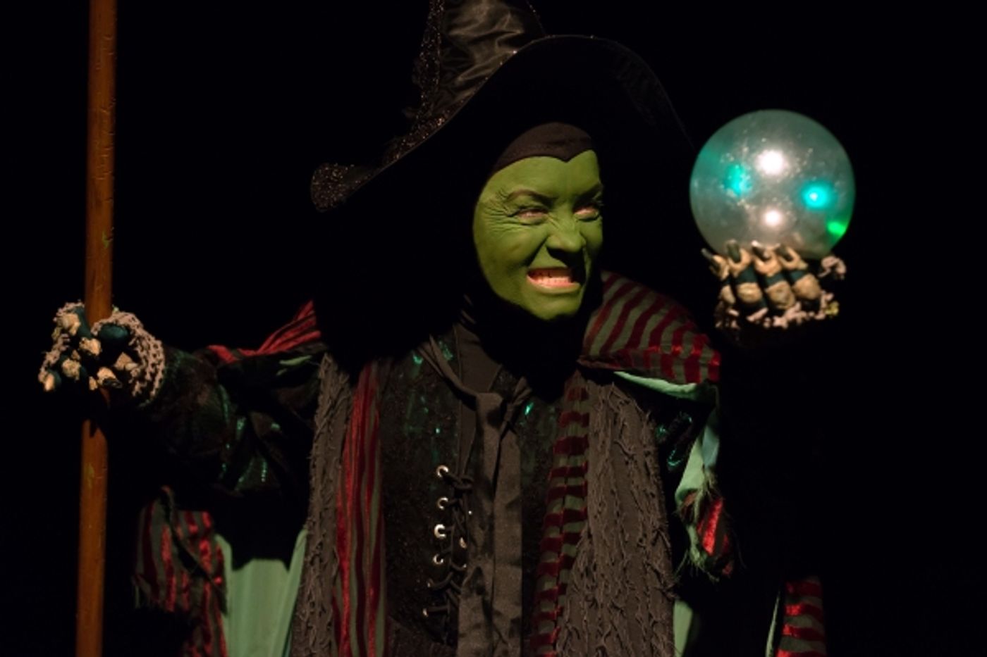 Photo Flash: First Look at THE WIZARD OF OZ at Marriott Theatre  Image