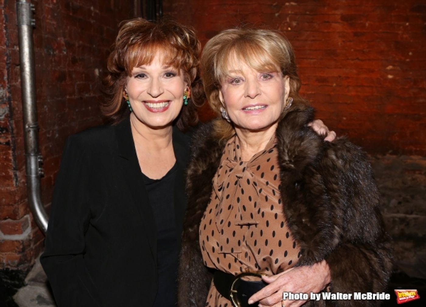 Photos: Opening Night of Joy Behar's ME, MY MOUTH AND I Image