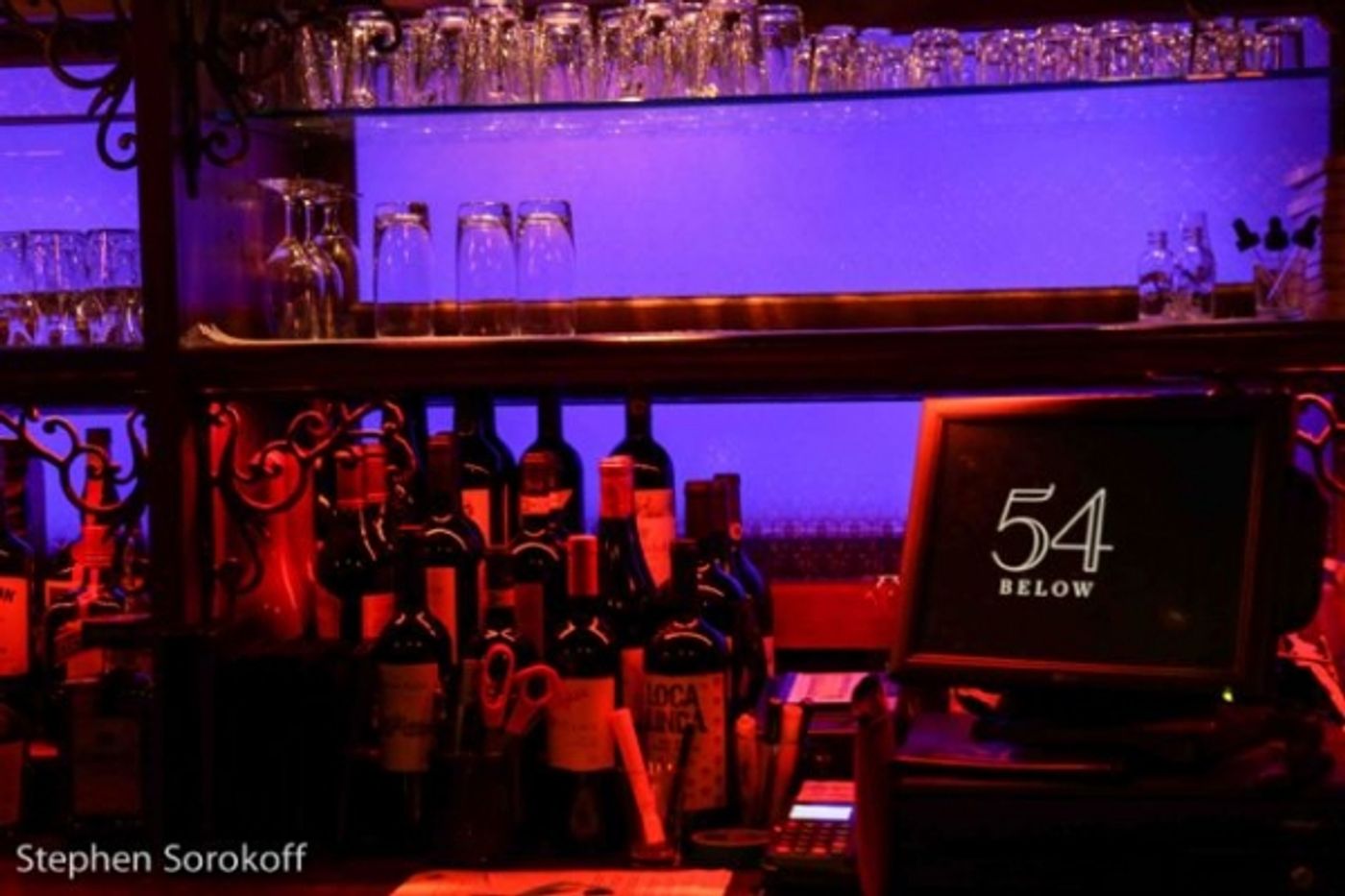 Photo Coverage: Ann Hampton Callaway Brings 'Turning Point' to 54 Below  Image