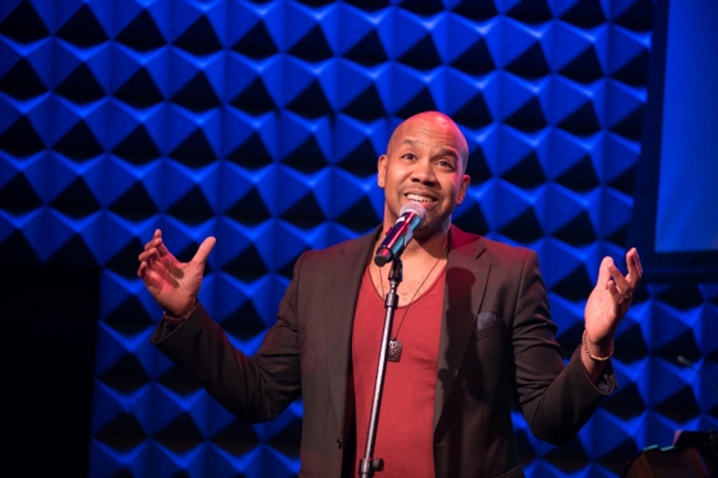 Photo Flash: Celia Weston, Megan Hilty and More at Sonnet Rep's 12th Annual Benefit and Cabaret Image
