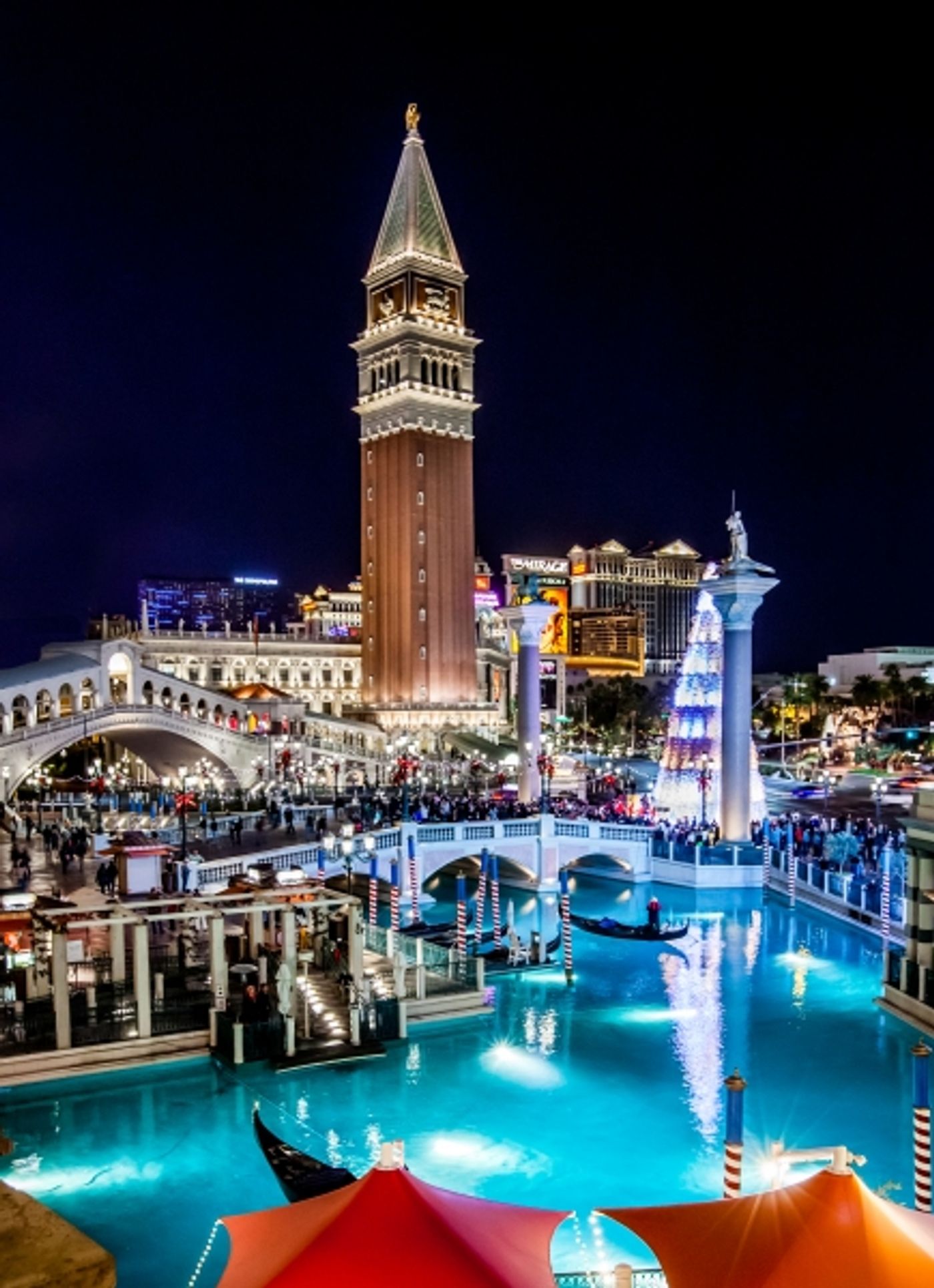 Photo Flash: Tori Spelling, Dean McDermott and Family Join Christmas Tree Lighting at The Venetian  Image