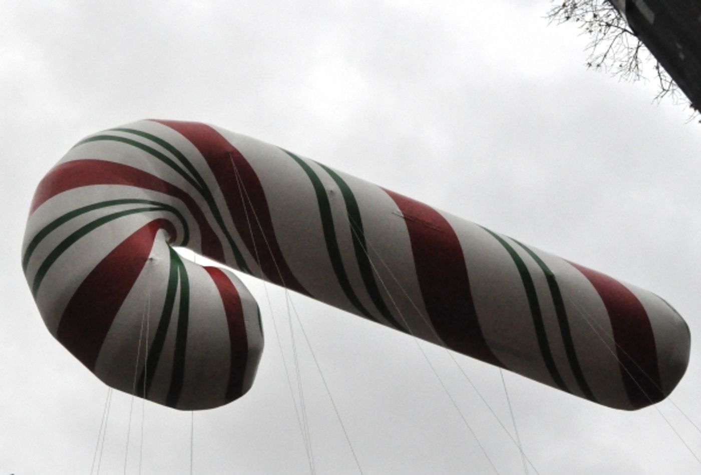 Photo Coverage: Idina Menzel, ON THE TOWN & More at 88th Annual Macy's Thanksgiving Day Parade!  Image