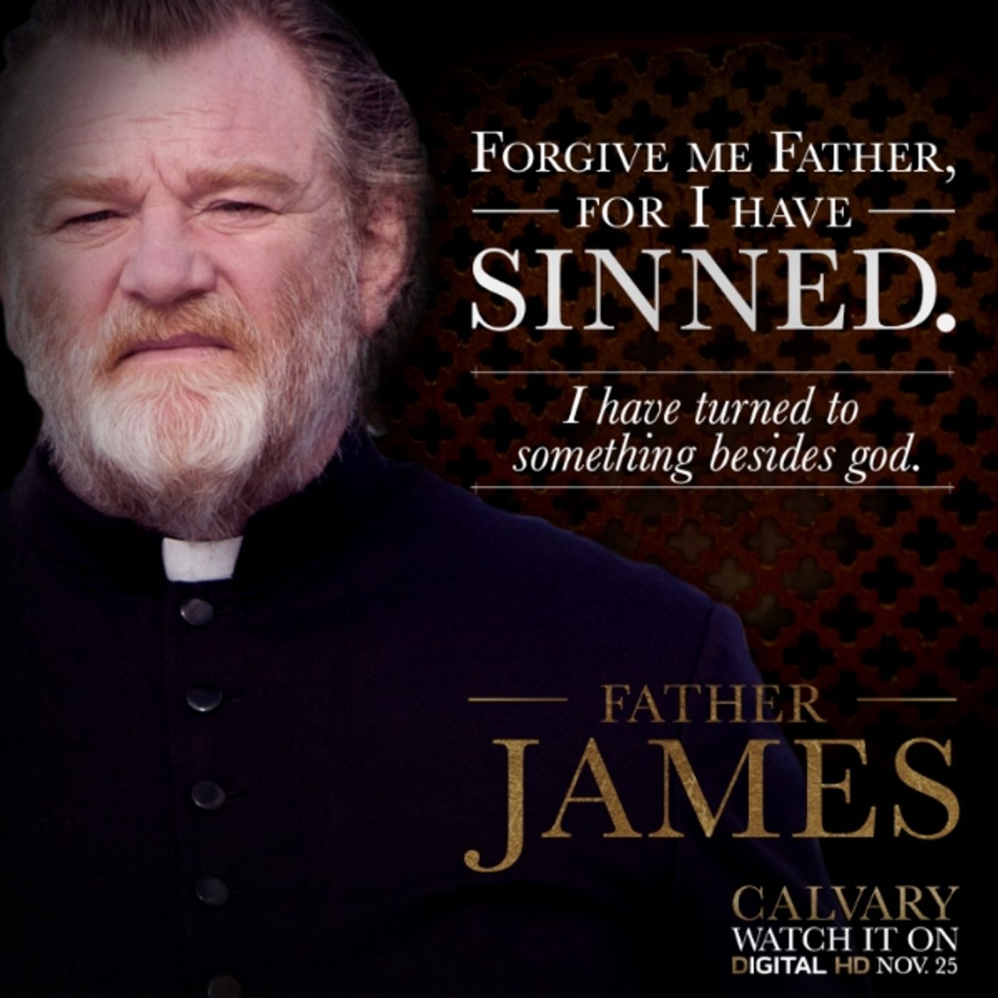 Photo Flash: CALVARY Out on DVD/Blu-ray Today  Image
