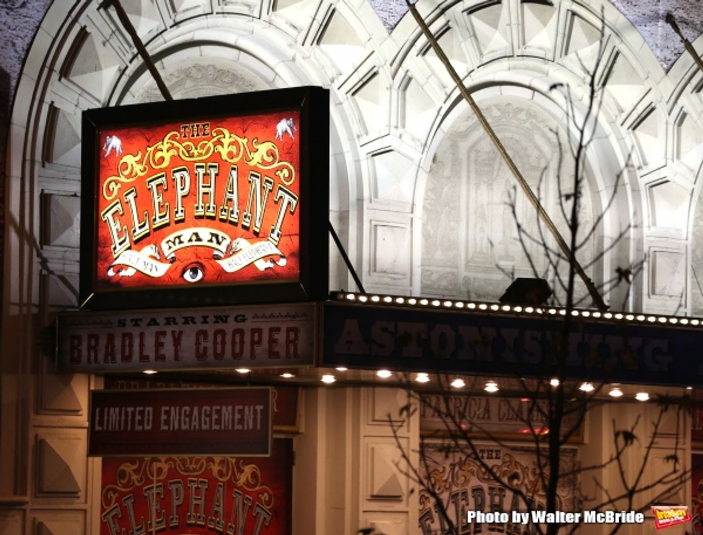 Photo Coverage: Bradley Cooper & THE ELEPHANT MAN Cast Take Opening Night Bows!  Image