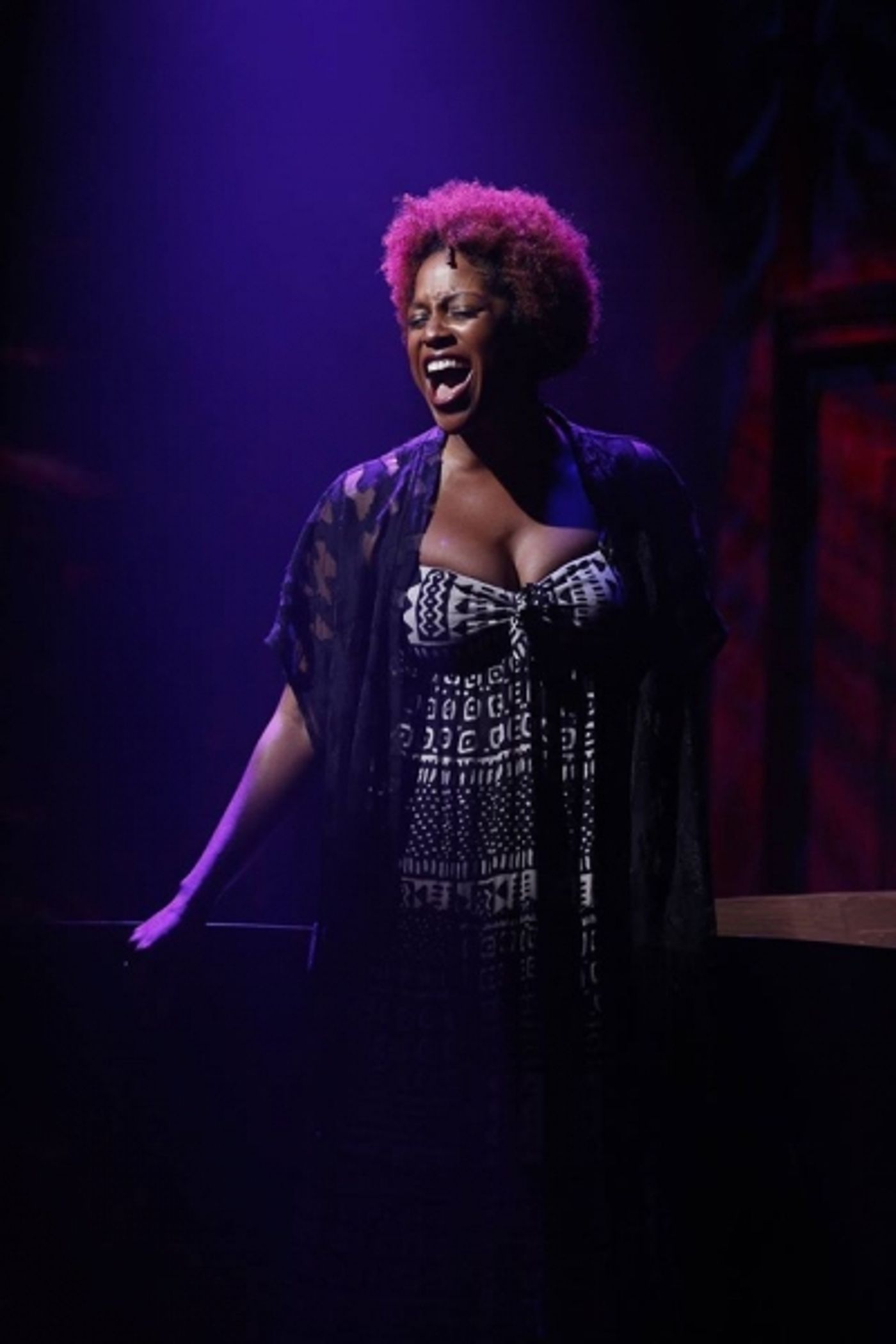 Photo Flash: First Look at Josh Nelson & More in SOUL DOCTOR Off-Broadway!  Image