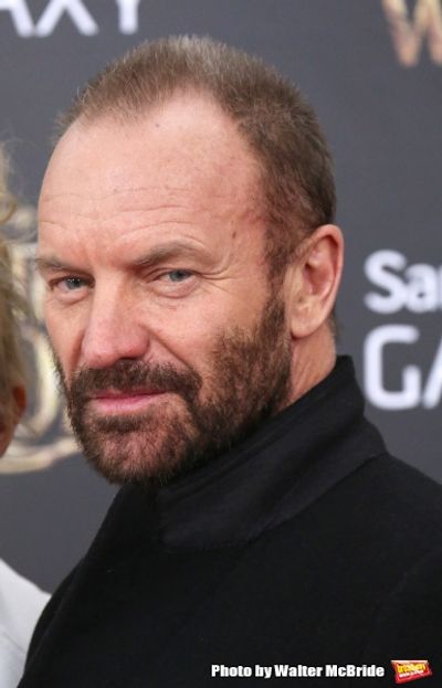Sting  Photo