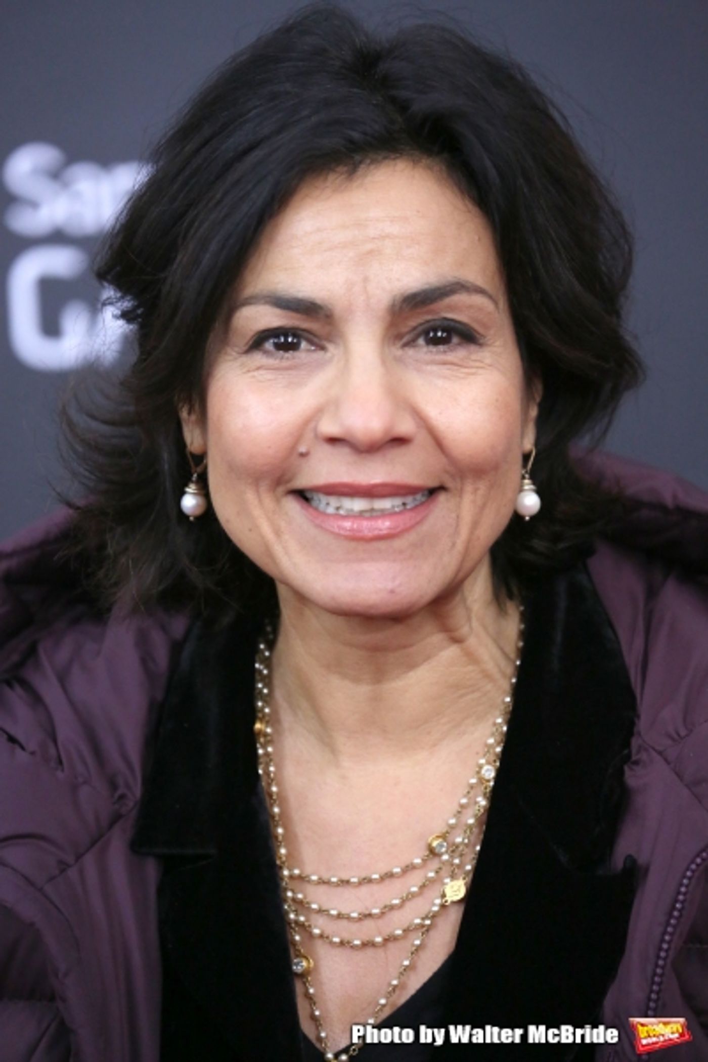 Photo Coverage: Wishes Come True! On the Red Carpet at the INTO THE WOODS NYC Premiere - Part 1  Image