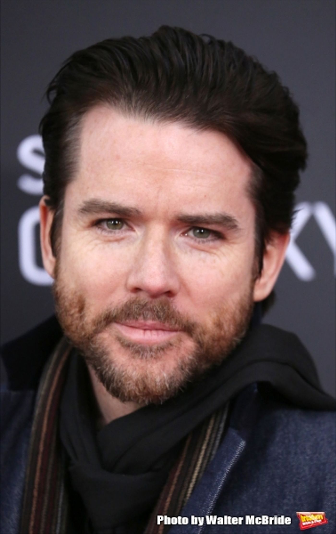 Photo Coverage: Wishes Come True! On the Red Carpet at the INTO THE WOODS NYC Premiere - Part 1  Image