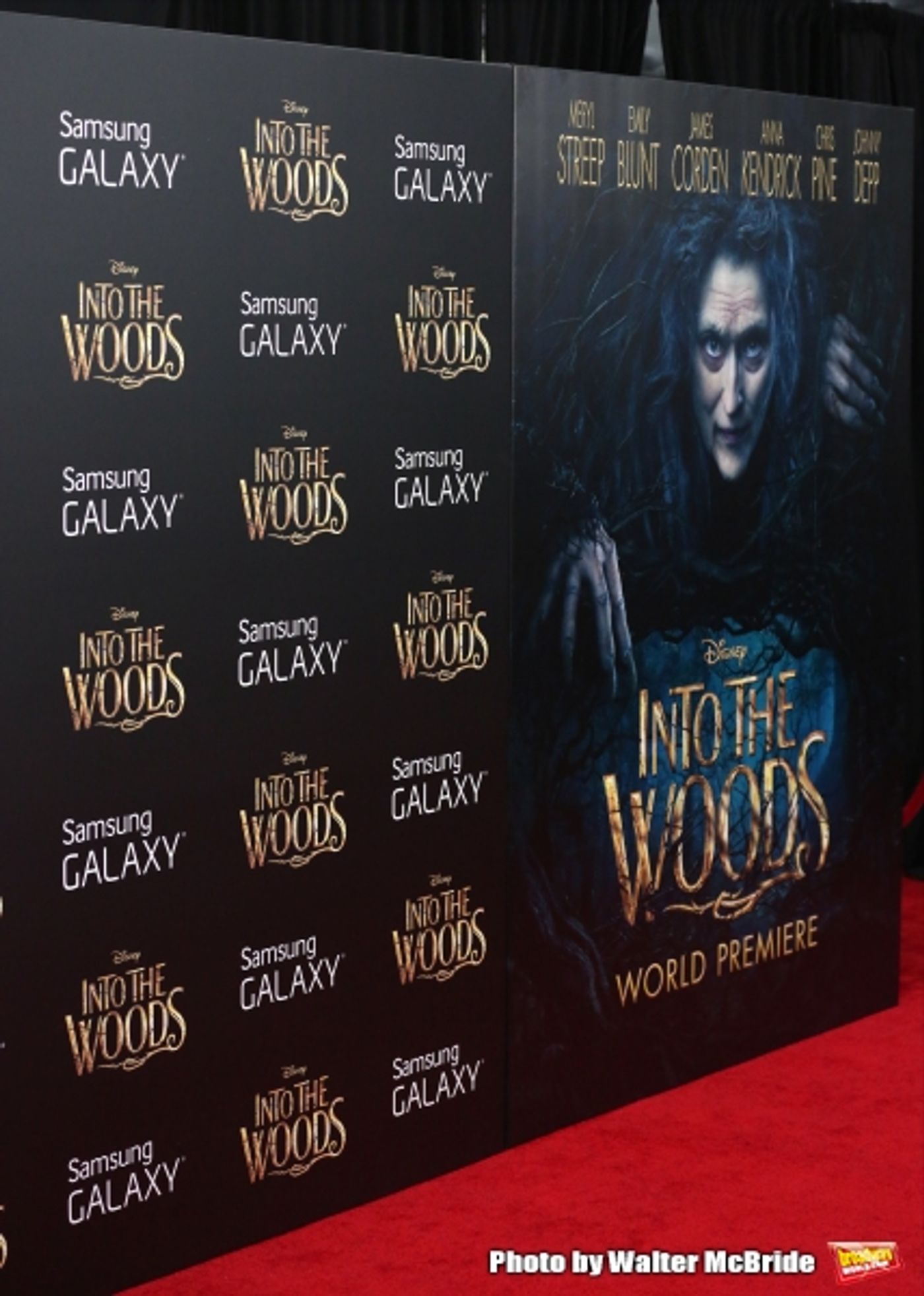 Photo Coverage: Wishes Come True! On the Red Carpet at the INTO THE WOODS NYC Premiere - Part 1  Image