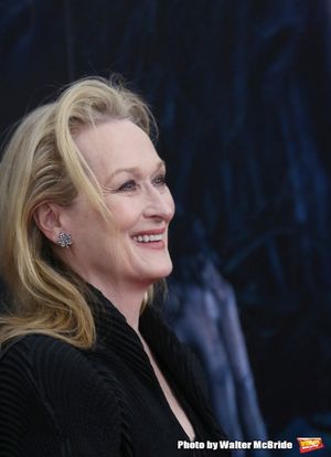 Meryl Streep @ BroadwayWorld Meryl Streep Photo