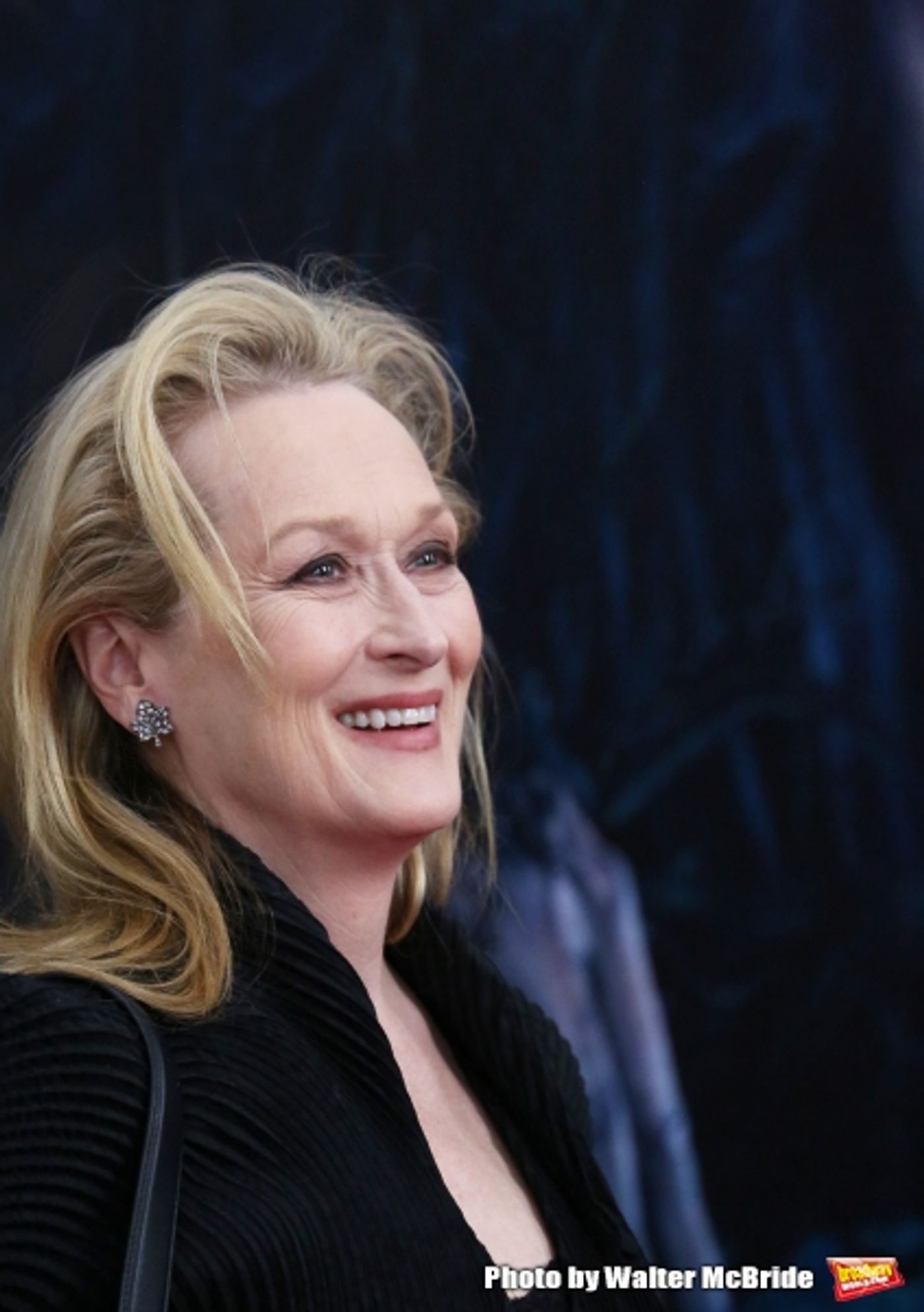 Photo Coverage: Wishes Come True! On the Red Carpet at the INTO THE WOODS NYC Premiere - Part 1  Image