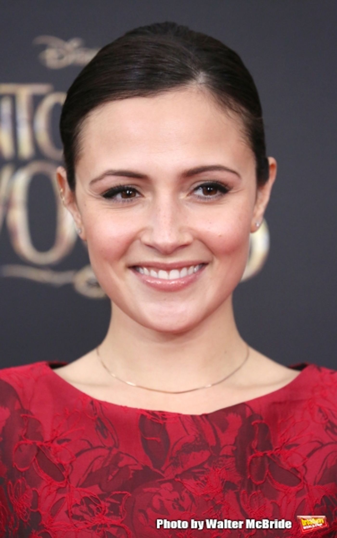 Photo Coverage: Wishes Come True! On the Red Carpet at the INTO THE WOODS NYC Premiere - Part 2  Image