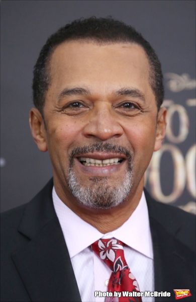 Photo Coverage: Wishes Come True! On the Red Carpet at the INTO THE WOODS NYC Premiere - Part 2 — photo 27 of 83