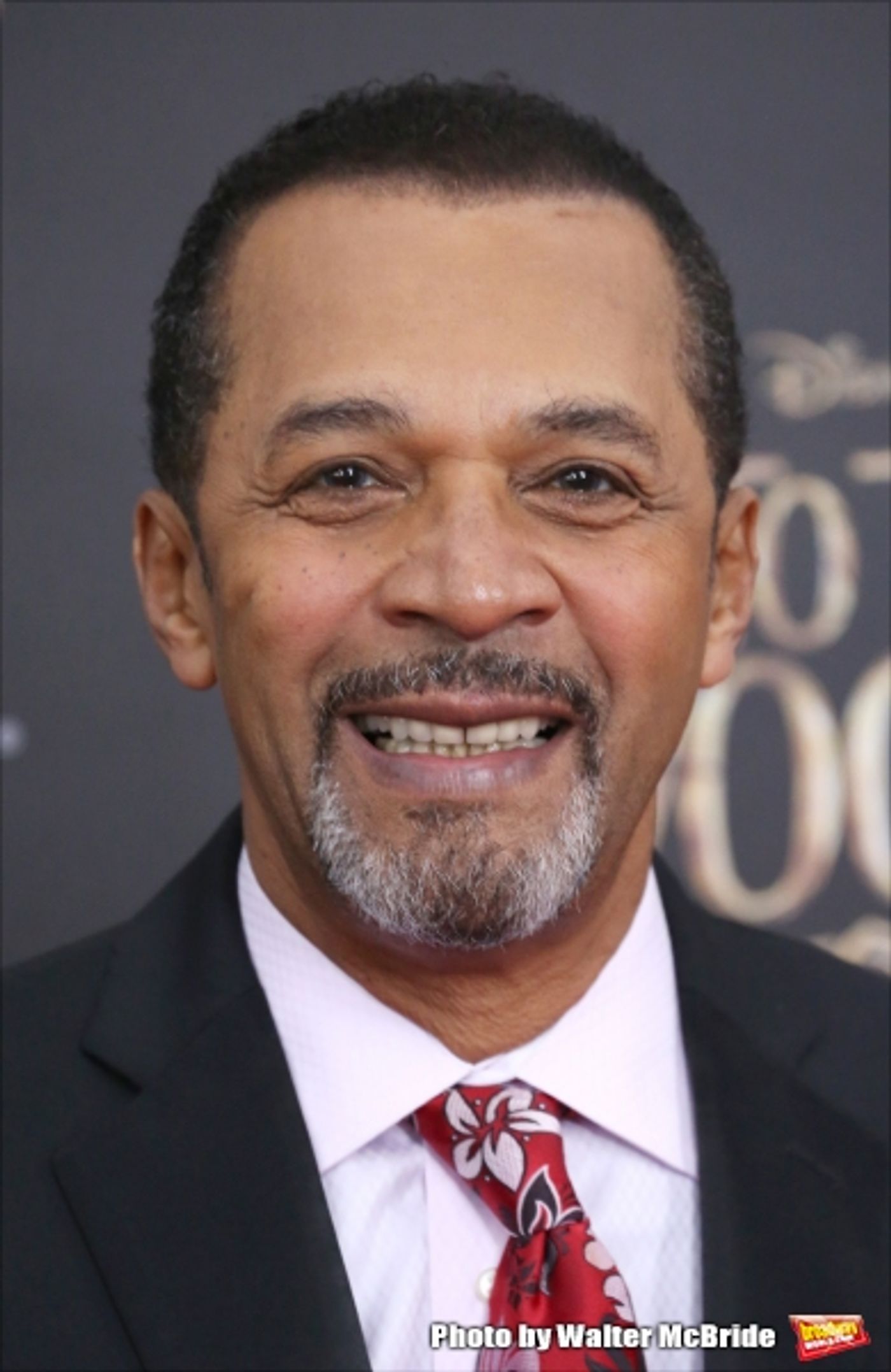 Photo Coverage: Wishes Come True! On the Red Carpet at the INTO THE WOODS NYC Premiere - Part 2  Image