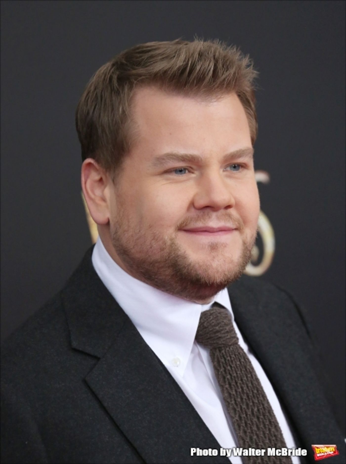 Photo Coverage: Wishes Come True! On the Red Carpet at the INTO THE WOODS NYC Premiere - Part 2  Image