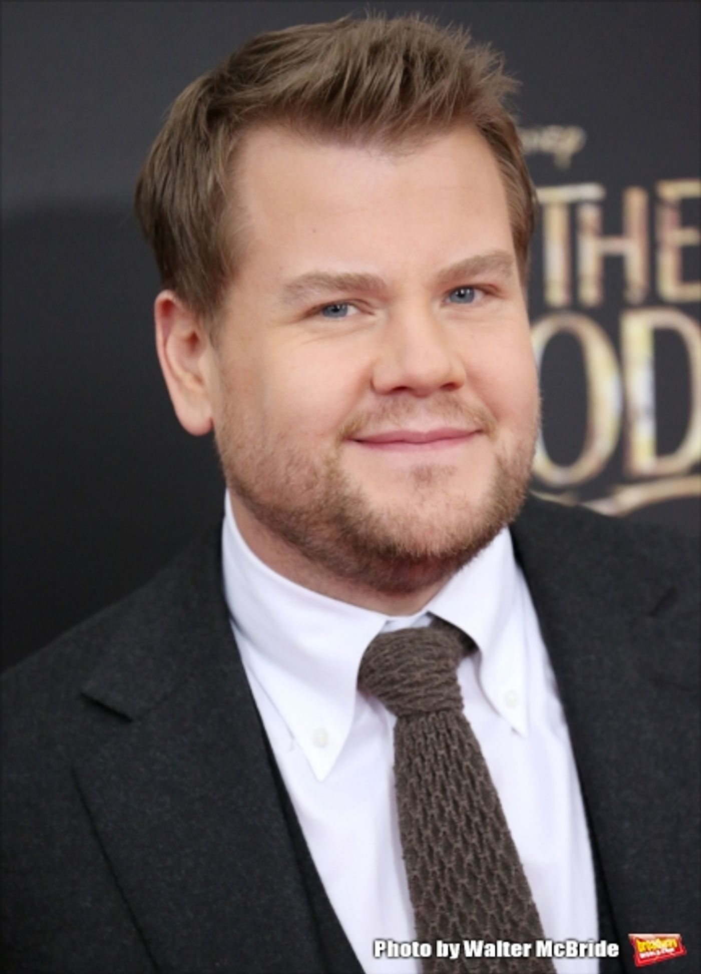 Photo Coverage: Wishes Come True! On the Red Carpet at the INTO THE WOODS NYC Premiere - Part 2  Image