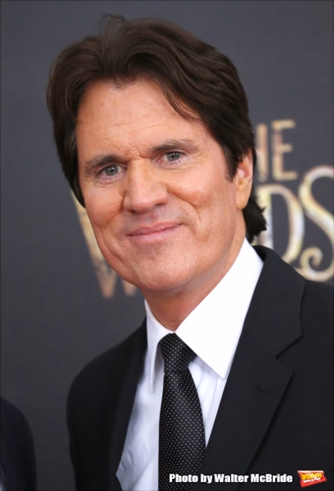 Photo Coverage: Wishes Come True! On the Red Carpet at the INTO THE WOODS NYC Premiere - Part 2 Image