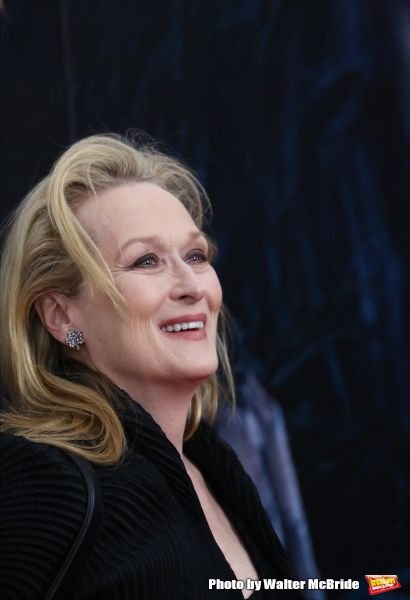 Photo Coverage: Wishes Come True! On the Red Carpet at the INTO THE WOODS NYC Premiere - Part 2 — photo 64 of 83