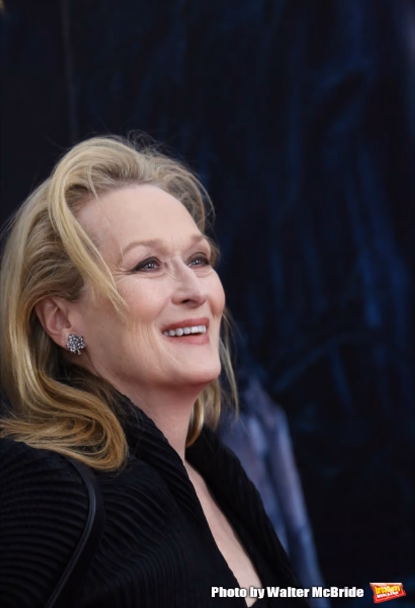 Photo Coverage: Wishes Come True! On the Red Carpet at the INTO THE WOODS NYC Premiere - Part 2 Image