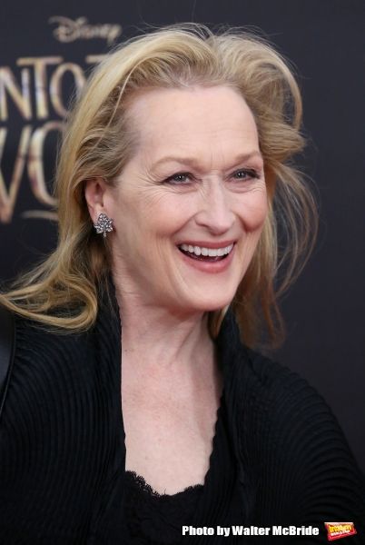 Photo Coverage: Wishes Come True! On the Red Carpet at the INTO THE WOODS NYC Premiere - Part 2 — photo 65 of 83