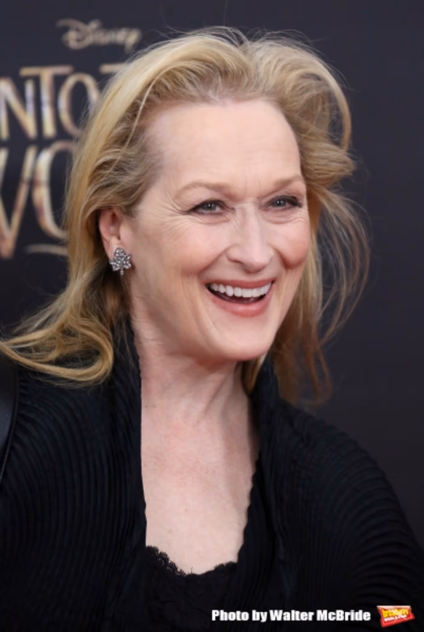 Photo Coverage: Wishes Come True! On the Red Carpet at the INTO THE WOODS NYC Premiere - Part 2 Image