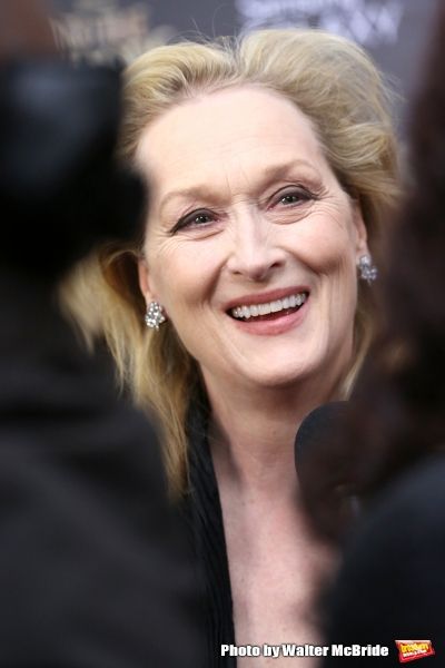 Photo Coverage: Wishes Come True! On the Red Carpet at the INTO THE WOODS NYC Premiere - Part 2 — photo 82 of 83