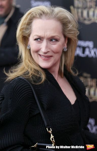 Photo Coverage: Wishes Come True! On the Red Carpet at the INTO THE WOODS NYC Premiere - Part 2 — photo 66 of 83