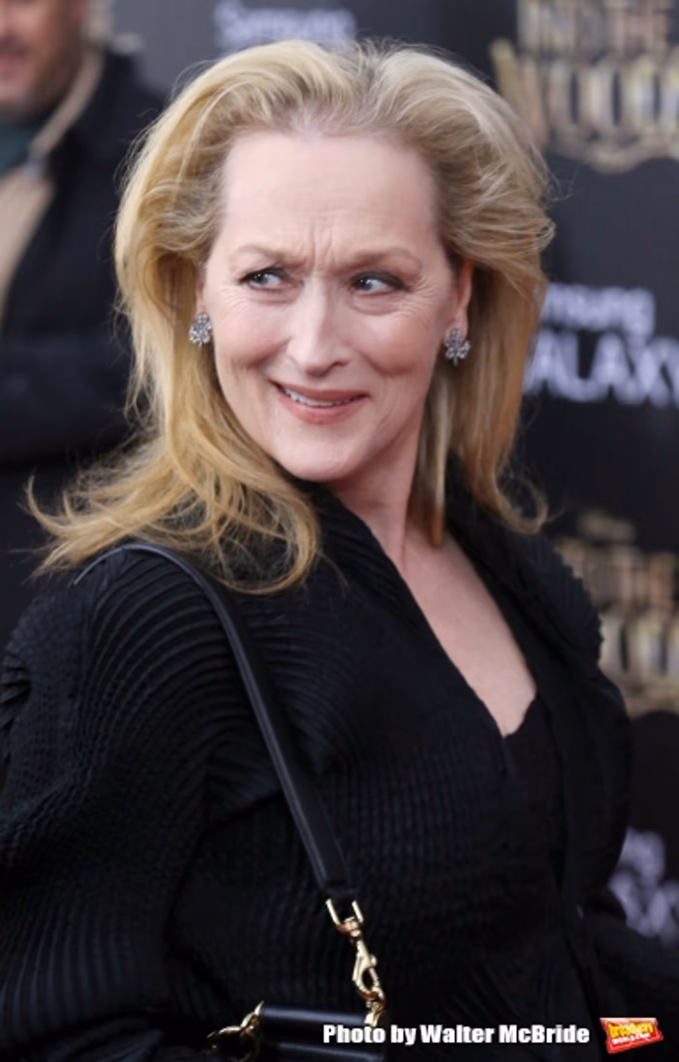 Photo Coverage: Wishes Come True! On the Red Carpet at the INTO THE WOODS NYC Premiere - Part 2 Image