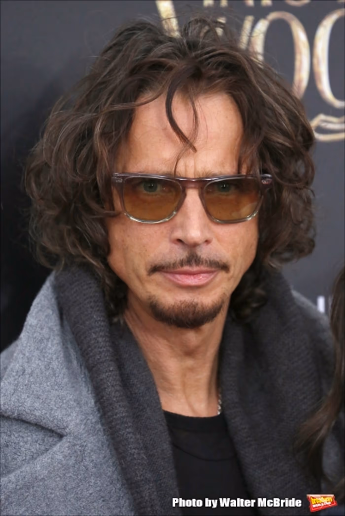 Photo Coverage: Wishes Come True! On the Red Carpet at the INTO THE WOODS NYC Premiere - Part 2 Image