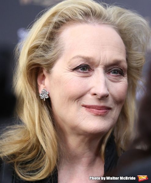 Photo Coverage: Wishes Come True! On the Red Carpet at the INTO THE WOODS NYC Premiere - Part 2 — photo 83 of 83