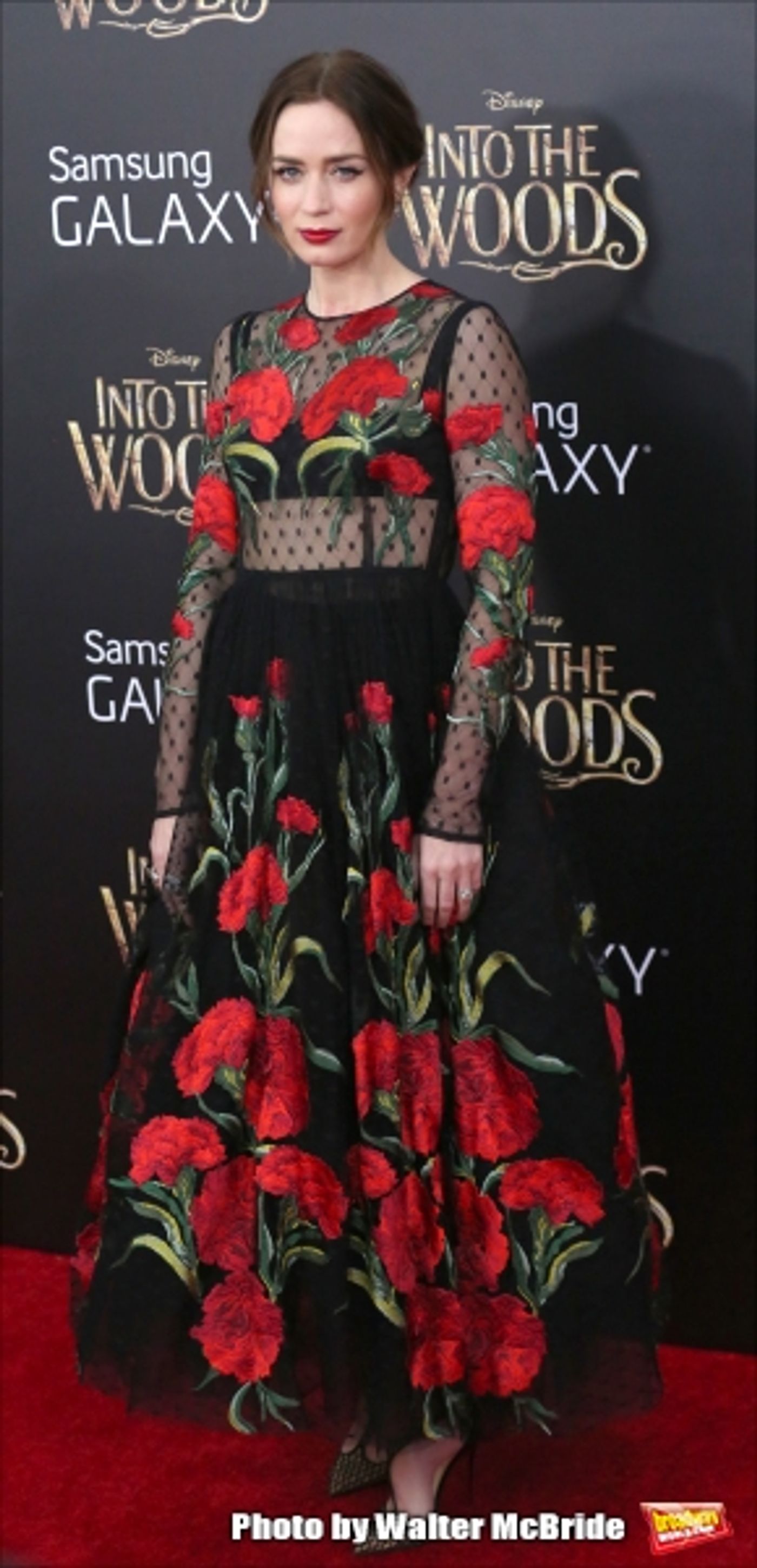 Photo Coverage: All of the INTO THE WOODS Red Carpet Fashions!  Image