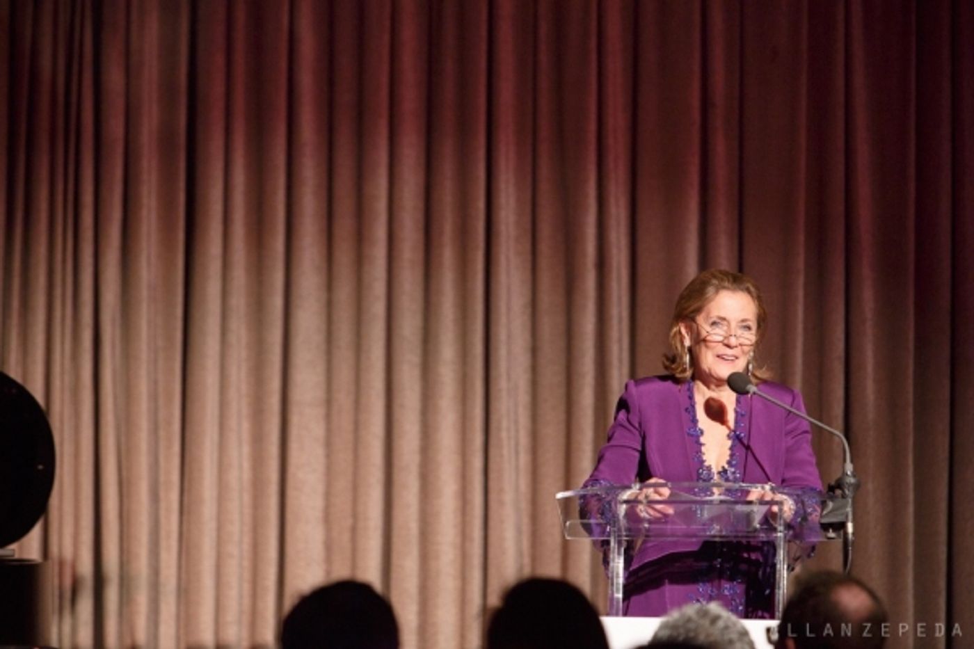 Photo Flash: Renee Fleming and Friends Celebrate SING FOR HOPE's 2014 Gala Photo Flash: Renee Fleming and Friends Celebrate SING FOR HOPE's 2014 Gala Image