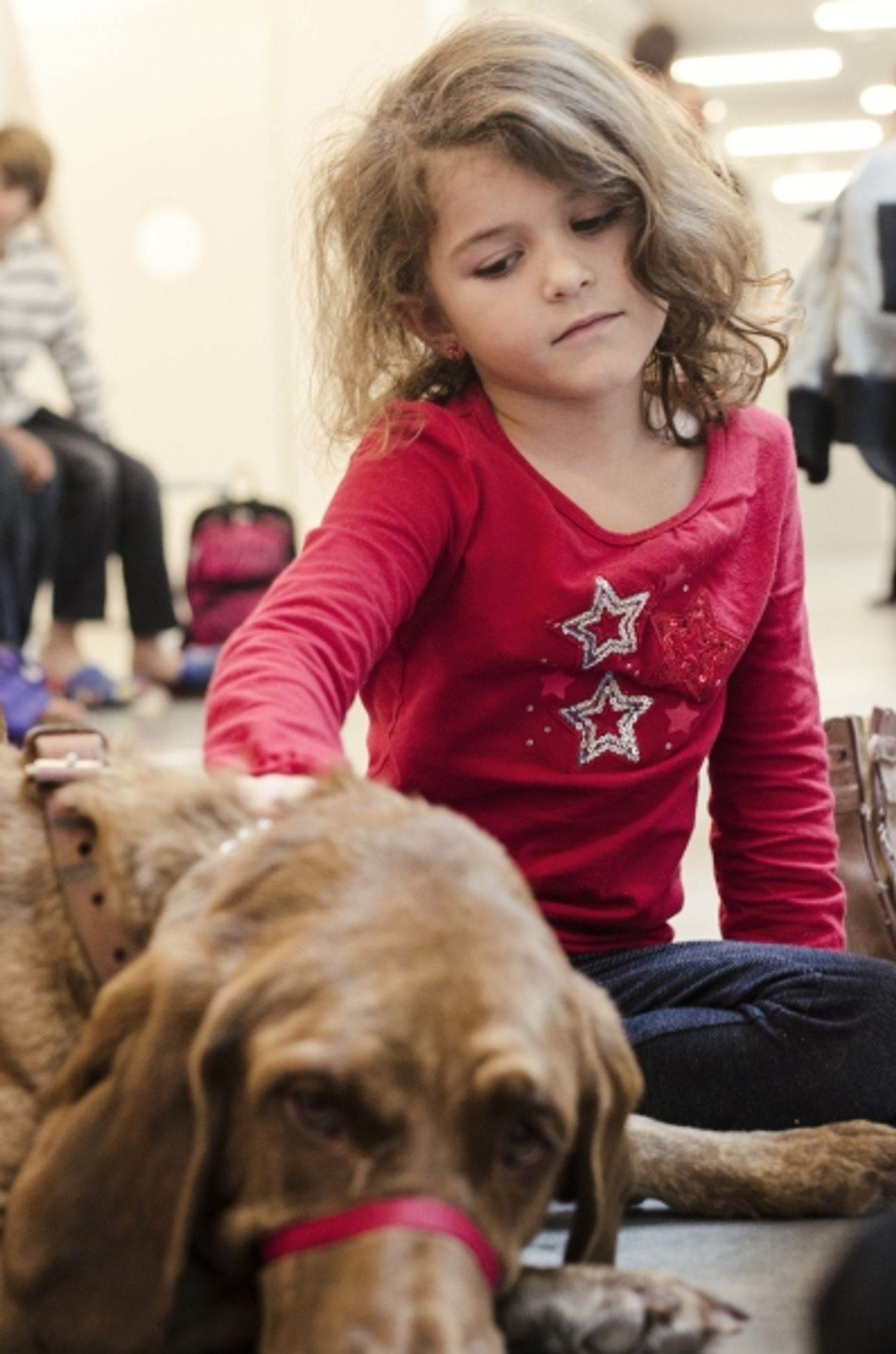 Photo Coverage: Dr. Phillips Center Previews Variety of School of Arts Classes  Image