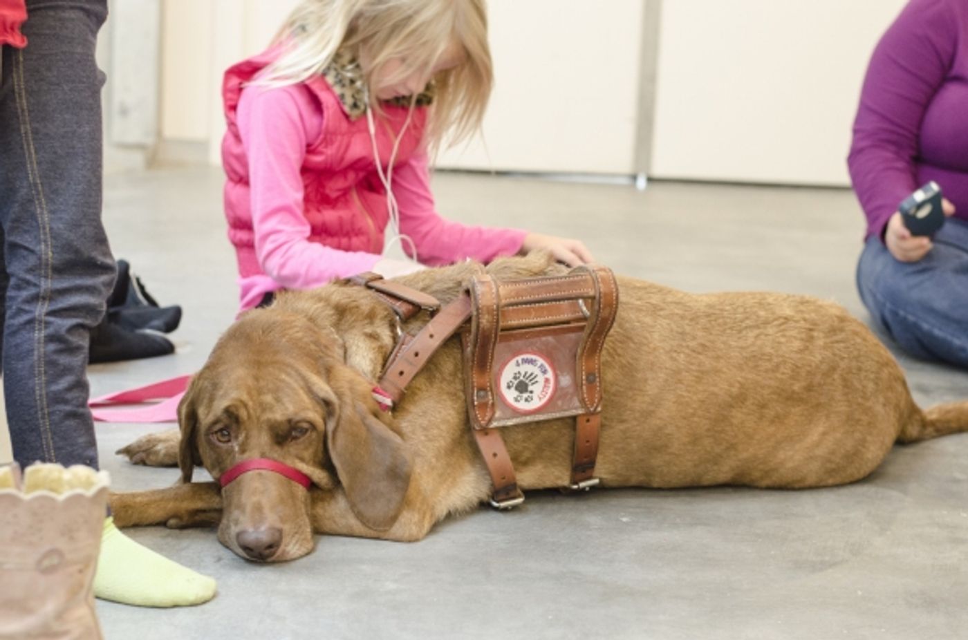 Photo Coverage: Dr. Phillips Center Previews Variety of School of Arts Classes  Image