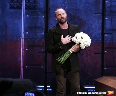 Sting Photo