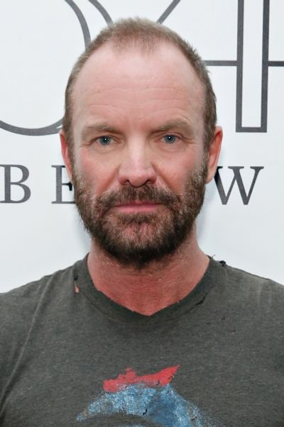 Sting Photo