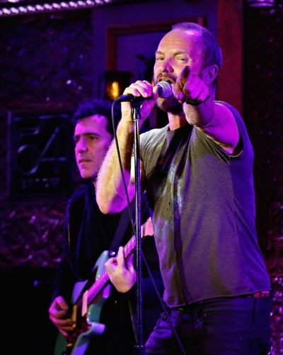 Sting  Photo