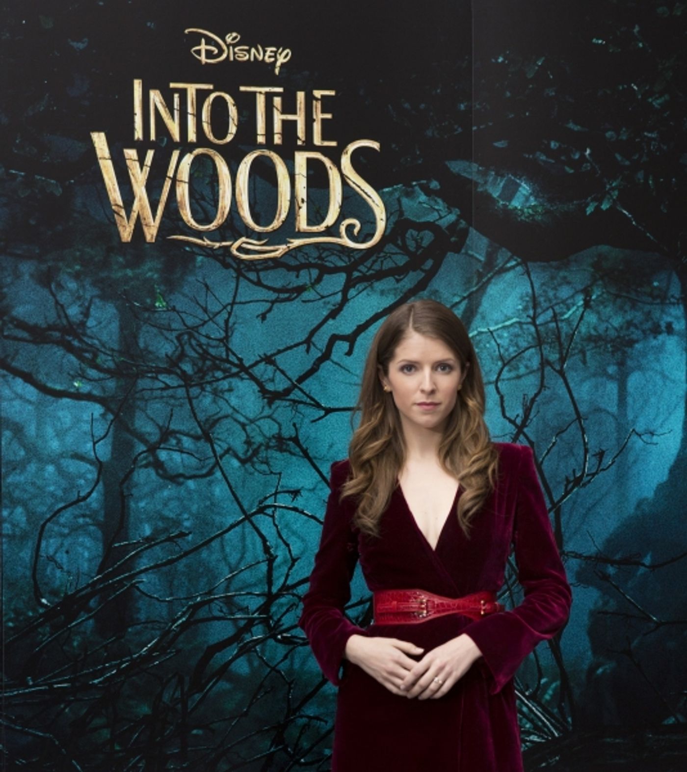 Photo Flash: Anna Kendrick, James Corden, Rob Marshall and More at the INTO THE WOODS London Premiere  Image