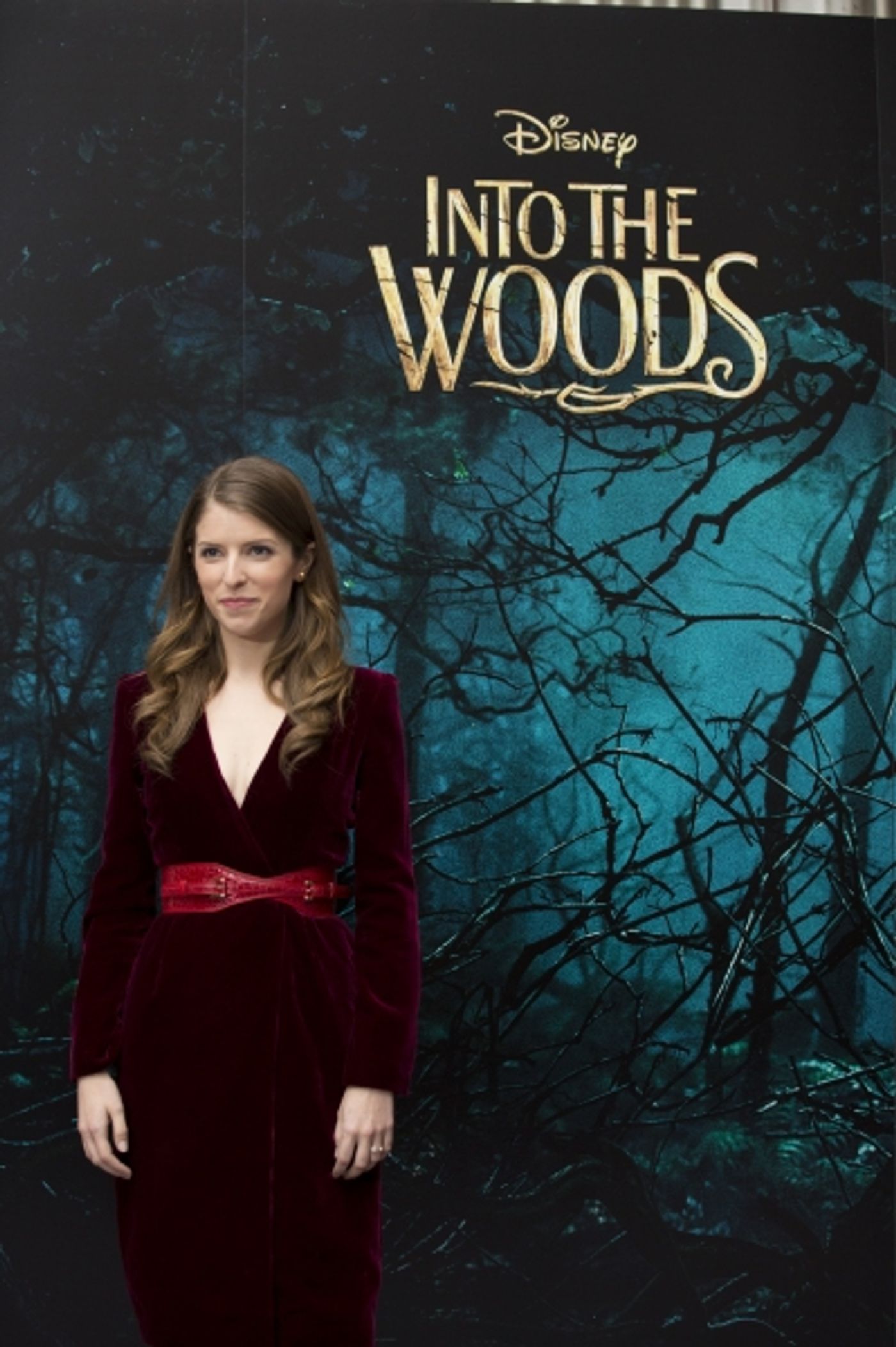 Photo Flash: Anna Kendrick, James Corden, Rob Marshall and More at the INTO THE WOODS London Premiere  Image