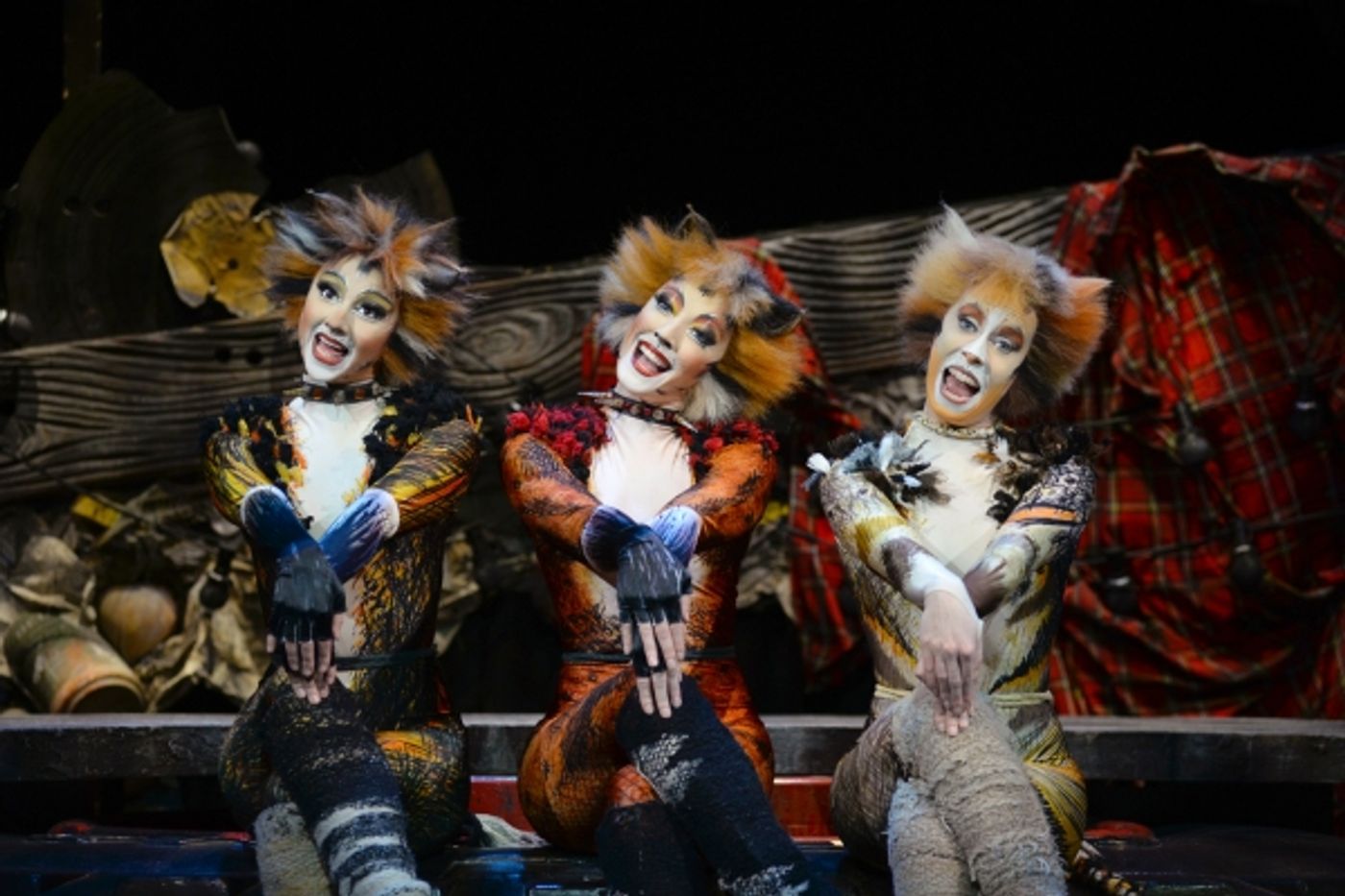 Photo Flash: The Jellicle Cats are Back! New Production Photos of West End Revival of Andrew Lloyd Webber's CATS!  Image