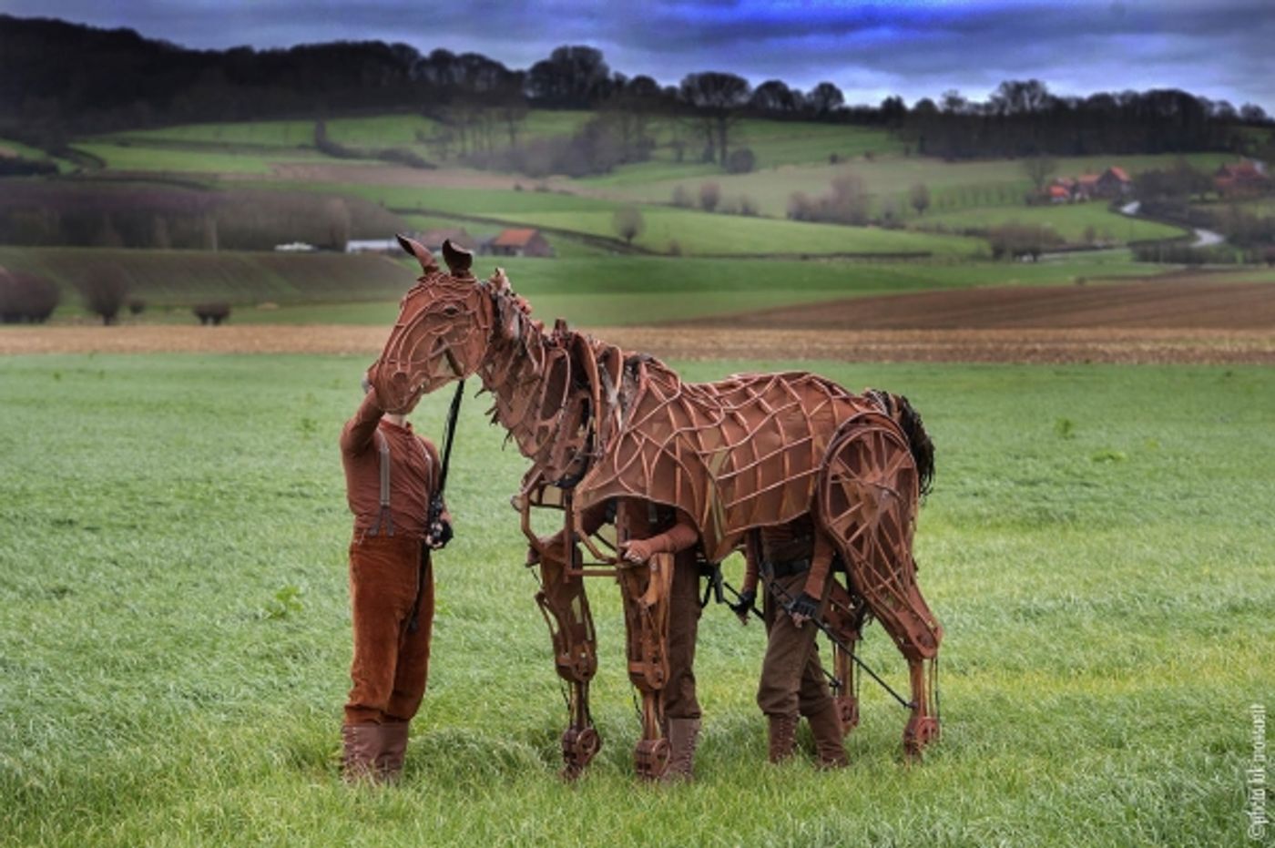 Photo Flash: WAR HORSE Author Michael Morpurgo & 'Joey' Visit Ypres  Image