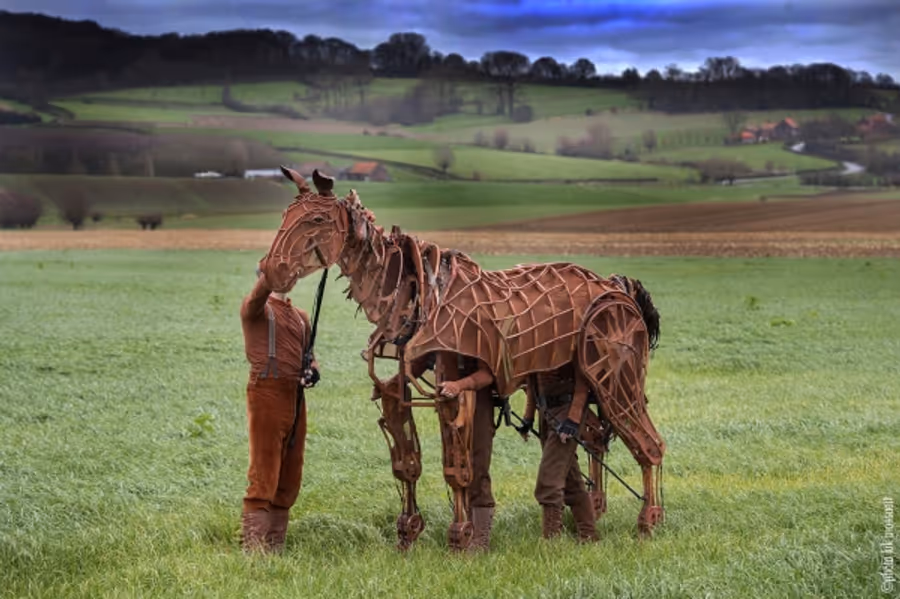 Photo Flash: WAR HORSE Author Michael Morpurgo & 'Joey' Visit Ypres Image