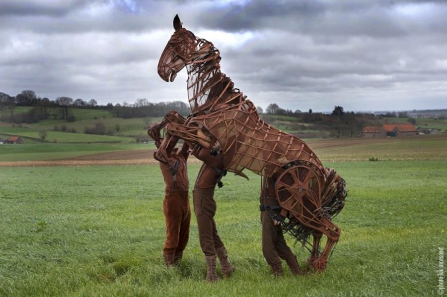 Photo Flash: WAR HORSE Author Michael Morpurgo & 'Joey' Visit Ypres Image
